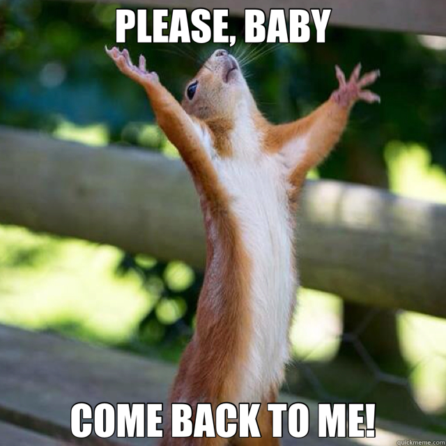 Please Come Back To Me Squirrel Meme
